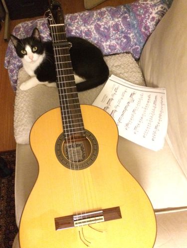 A flamenco guitar next to a cat